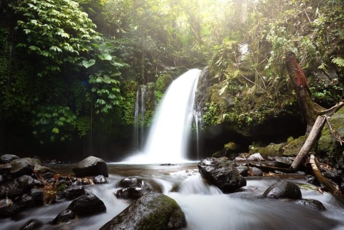 Pesona Keindahan Alam Air Terjun Yeh Hoo di Jatiluwih, Tabanan