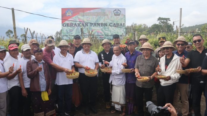 Hari ini Jumat 29 Maret 2024, Desa Songan B, Kintamani, Bangli, dipenuhi dengan semangat petani yang merayakan hasil panen cabai dan bawang.