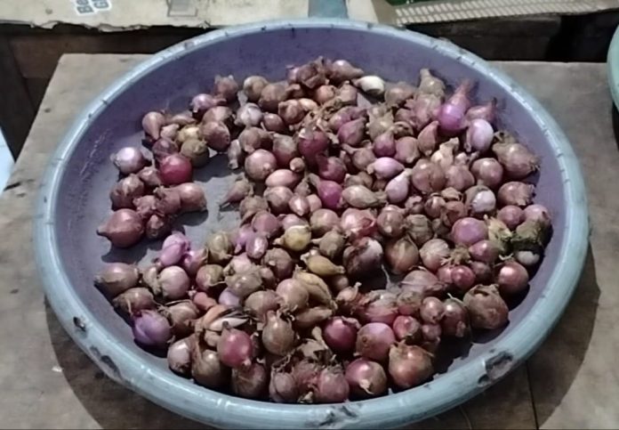 Harga Bawang Masih Tinggi di Dalung