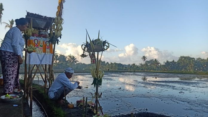 Subak Bengkel Resmi Masuk Nominasi Situs Warisan Dunia UNESCO