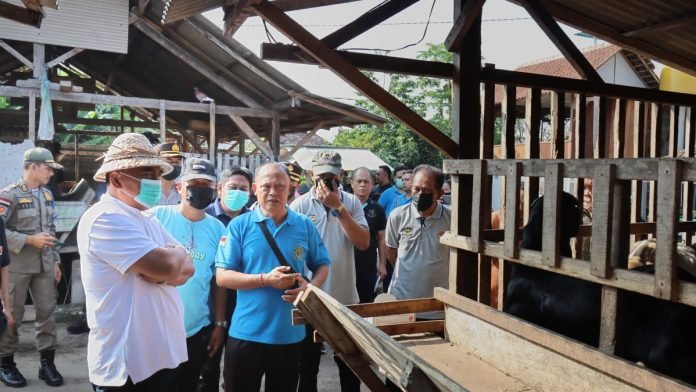 Jelang Idul Adha, Pemkab Jembrana Siapkan Bantuan Hewan Kurban