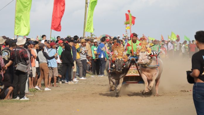 Lomba Mekepung Jembrana Cup 2024 yang digelar pada Minggu, 30 Juni 2024, di Sirkuit All in One Desa Pengambengan.