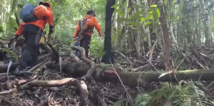 Seorang ibu dan anak, Astuti (40) dan Resta (19), dilaporkan tersesat saat menuruni jalur pendakian dari puncak Gunung Batukaru