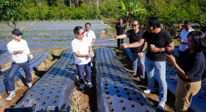 Bupati Wayan Adi Arnawa bersama Wabup Bagus Alit Sucipta saat meninjau Kawasan Badung Agro Techno Park di Desa Belok Sidan, Petang, Jumat (19/6/2026).