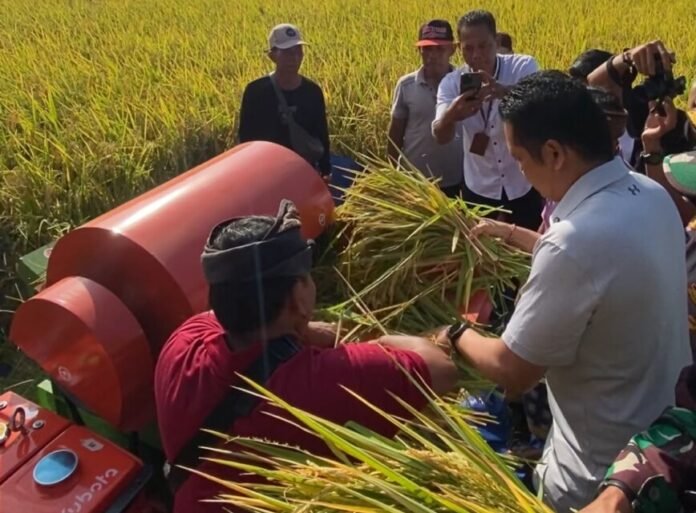 Bupati Jembrana I Made Kembang Hartawan menyerahkan bantuan alsintan power thresher kepada tujuh kelompok tani/subak sebagai upaya mendukung efisiensi pertanian dan meningkatkan hasil produksi petani.