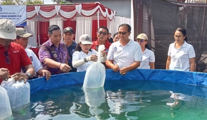 Ketua TP. PKK Badung, Nyonya Rasniathi Adi Arnawa saat menyerahkan bantuan sarana budidaya ikan lele kepada Kelompok Pembudidaya Ikan Mina Utama di Banjar Menesa, Desa Darmasaba, Kecamatan Abiansemal, Selasa (20/10).